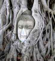 thailand-ayutthaya-wat-mahathat-vacations