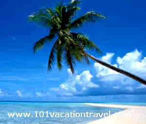 thailand-pattaya-beach-palm