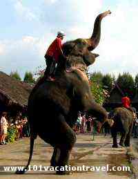 thailand-vacations-holidays